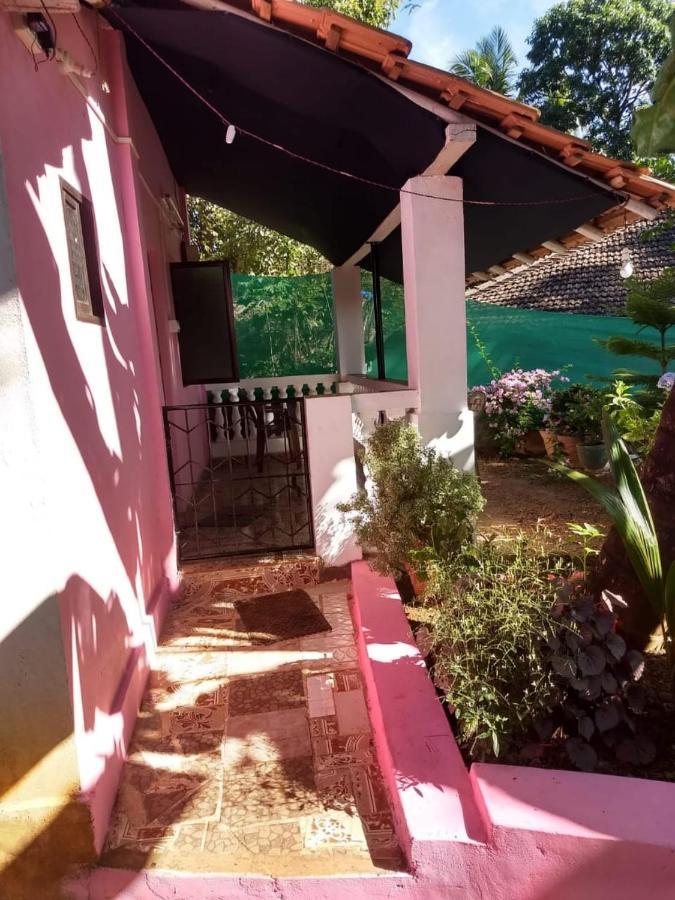 شقة Agonda Pink House كِناكونا المظهر الخارجي الصورة